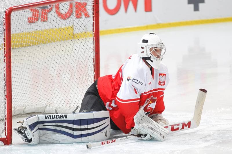 Ice Hockey. Euro Ice Hockey Challenge. Poland - Ukraine. 10.02.2017