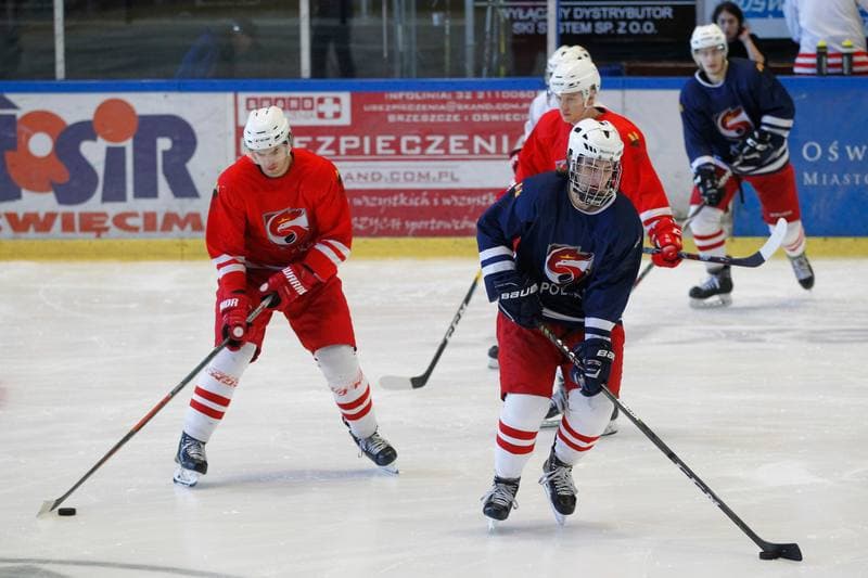 Ice Hockey. Poland U20. Training. 06.11.2018