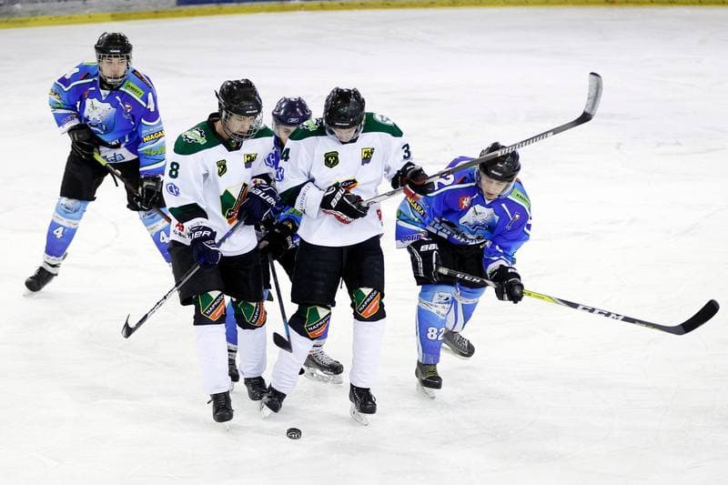 Ice Hockey. I Liga. Naprzod Janow - UKH Debica. 12.02.2017