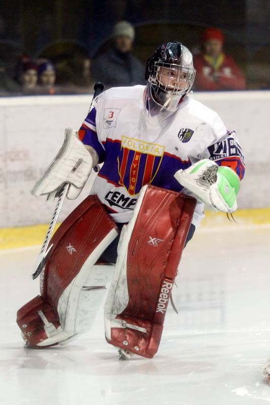Ice Hockey. Polska Hokej Liga. Tempish Polonia Bytom - GKS Tychy. 15.02.2017