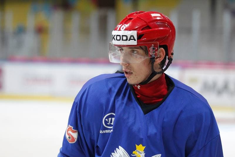 Ice Hockey. Poland national team. Training. 21.08.2018