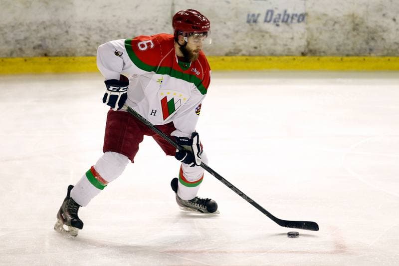 Ice Hockey. I Liga. Zaglebie Sosnowiec - UKH Debica. 18.02.2017