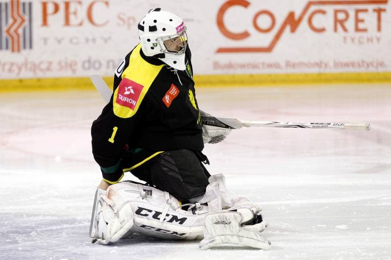Ice Hockey. Polska Hokej Liga. GKS Tychy - Tauron GKS Katowice. 21.02.2017