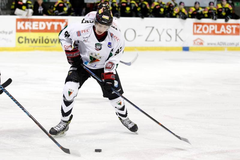 Ice Hockey. Polska Hokej Liga. GKS Tychy - Tauron GKS Katowice. 21.02.2017