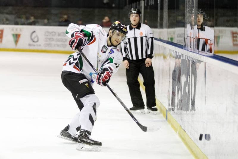 Ice Hockey. Polska Hokej Liga. GKS Tychy - Tauron GKS Katowice. 21.02.2017
