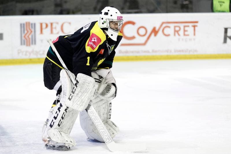 Ice Hockey. Polska Hokej Liga. GKS Tychy - Tauron GKS Katowice. 21.02.2017