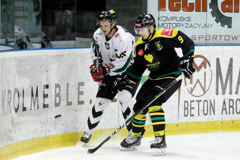 Ice Hockey. Polska Hokej Liga. GKS Tychy - Tauron GKS Katowice. 22.02.2017