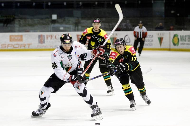 Ice Hockey. Polska Hokej Liga. GKS Tychy - Tauron GKS Katowice. 22.02.2017
