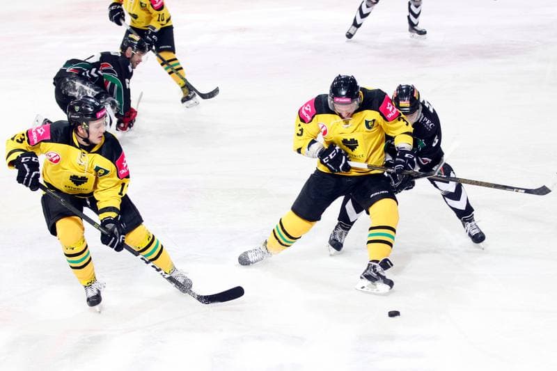 Ice Hockey. Polska Hokej Liga. Tauron KH GKS Katowice - GKS Tychy. 25.02.2017