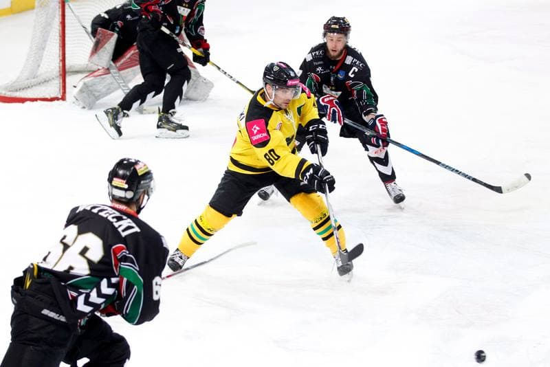 Ice Hockey. Polska Hokej Liga. Tauron KH GKS Katowice - GKS Tychy. 25.02.2017