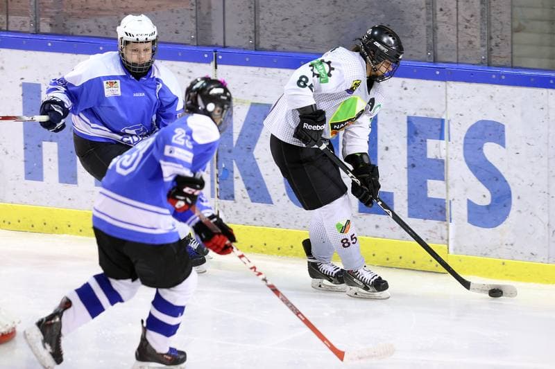 Ice Hockey. PLHK. Naprzod Janow - Stoczniowiec Gdansk. 25.02.2017