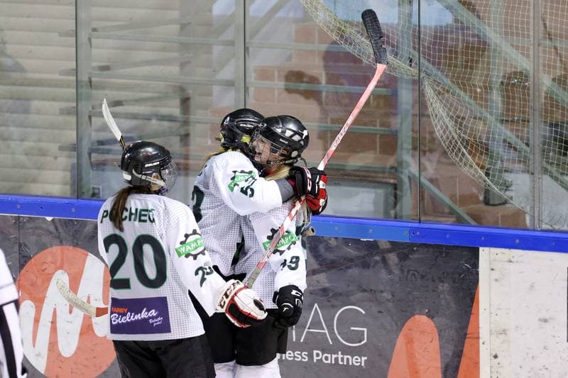 Ice Hockey. PLHK. Naprzod Janow - Stoczniowiec Gdansk. 25.02.2017