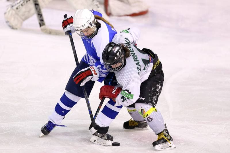 Ice Hockey. PLHK. Naprzod Janow - Stoczniowiec Gdansk. 25.02.2017