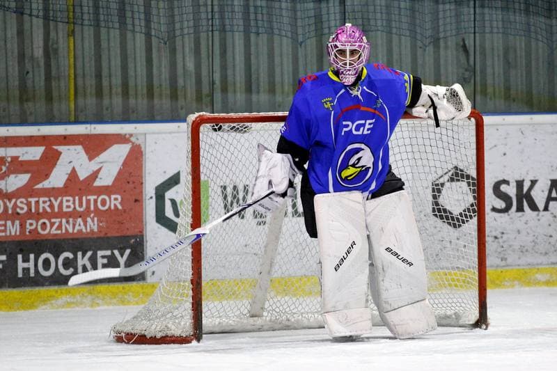 Ice Hockey. Polska Hokej Liga. Weglokoks Kraj Polonia Bytom - PGE Orlik Opole. 27.11.2018