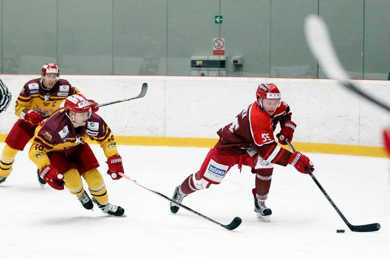 Ice Hockey. WSM Liga. HC Frydek-Mistek - Dukla Jihlava. 02.03.2017