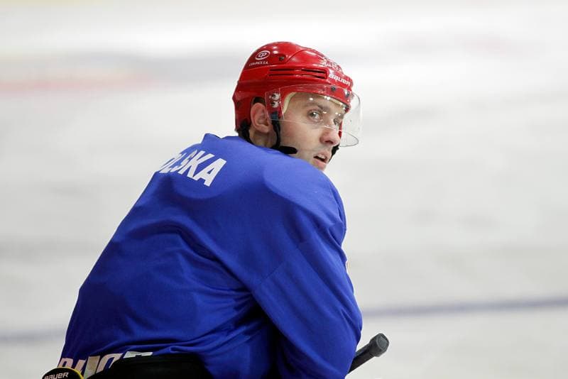 Ice Hockey. Poland national team. Training. 21.08.2018