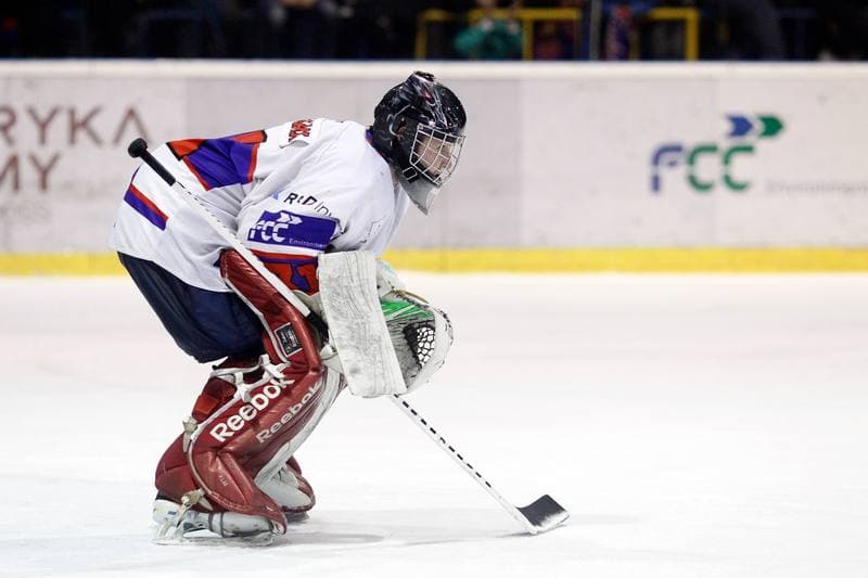 Ice Hockey. Polska Hokej Liga. Tempish Polonia Bytom - GKS Tychy. 11.03.2017