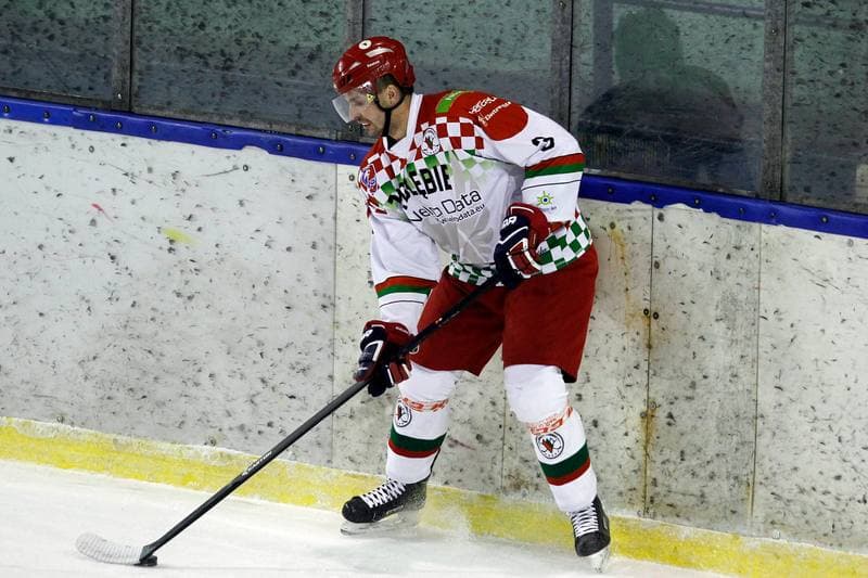 Ice Hockey. Polska Hokej Liga. Zaglebie Sosnowiec - Weglokoks Kraj Polonia Bytom. 13.01.2019