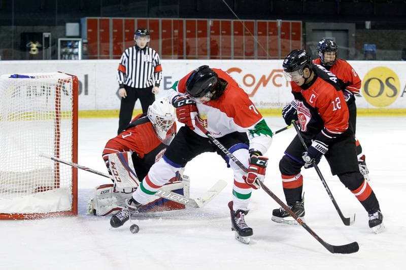 Ice Hockey. U20 World Championship Division I. Japan - Hungary. 08.12.2018