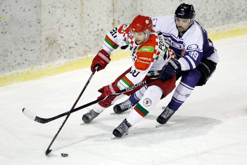 Ice Hockey. Polska Hokej Liga. Zaglebie Sosnowiec - MH Automatyka Gdansk. 02.01.2019