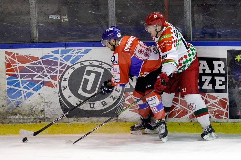 Ice Hockey. Polska Hokej Liga. Zaglebie Sosnowiec - Weglokoks Kraj Polonia Bytom. 13.01.2019