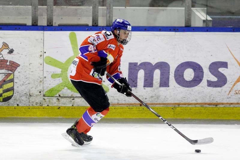 Ice Hockey. Polska Hokej Liga. Zaglebie Sosnowiec - Weglokoks Kraj Polonia Bytom. 13.01.2019