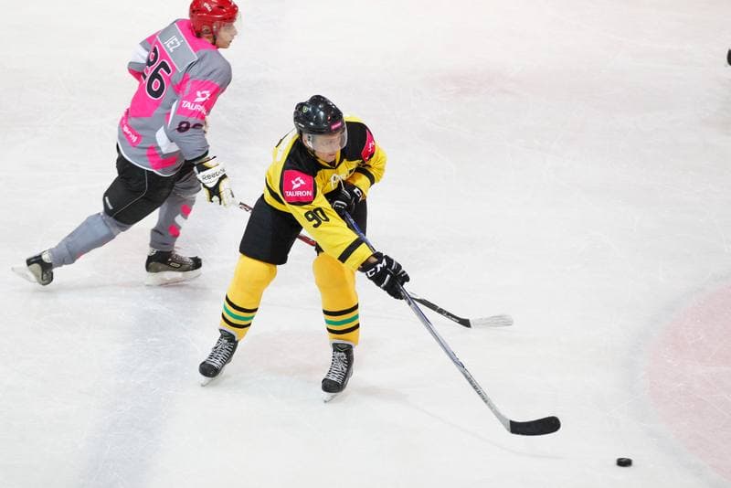 Ice Hockey. Charity Match. Tauron KH GKS Katowice - Byki Tauron. 01.04.2017