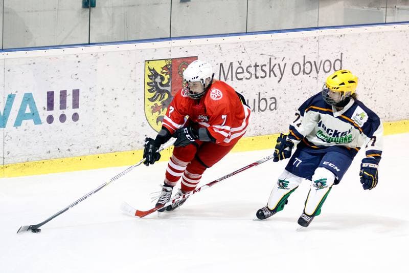 Ice Hockey. Women's Friendly Match. Poland - Ontario. 04.04.2017
