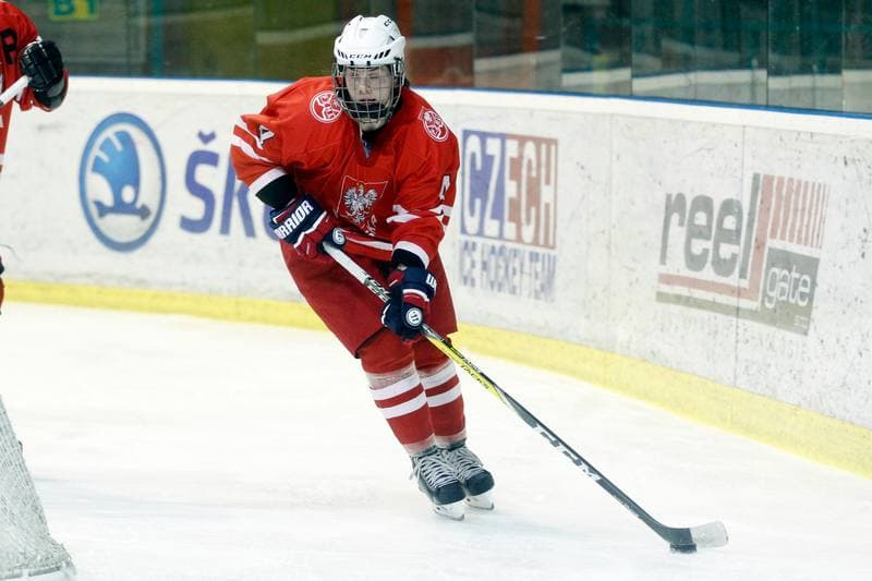 Ice Hockey. Women's Friendly Match. Poland - Ontario. 04.04.2017
