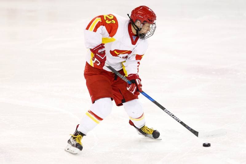 Ice Hockey. Women's World Championship. Italy - China. 12.04.2017