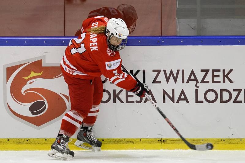 Ice Hockey. Women's World Championship. Latvia - Poland. 12.04.2017