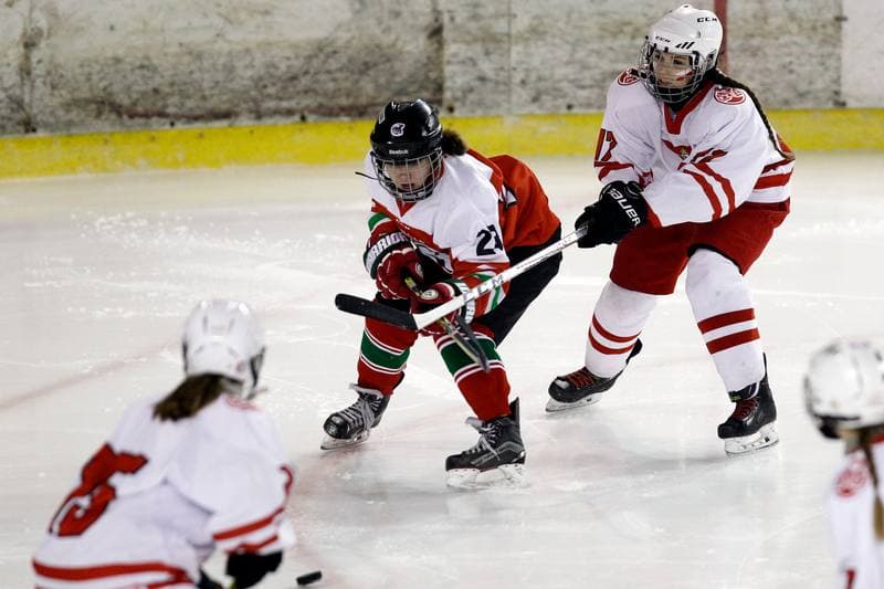 Ice Hockey. Women's U18 Championship. Poland - Hungary. 11.11.2018