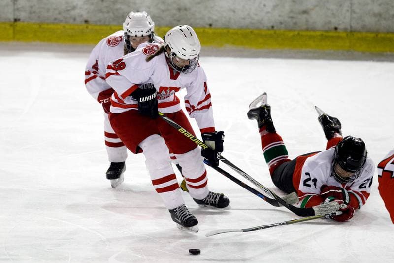 Ice Hockey. Women's U18 Championship. Poland - Hungary. 11.11.2018
