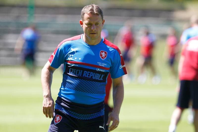 Football. Czech Republic. Training. 22.06.2017