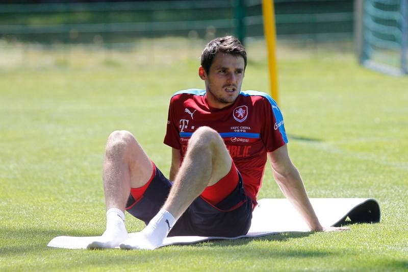Football. Czech Republic. Training. 22.06.2017