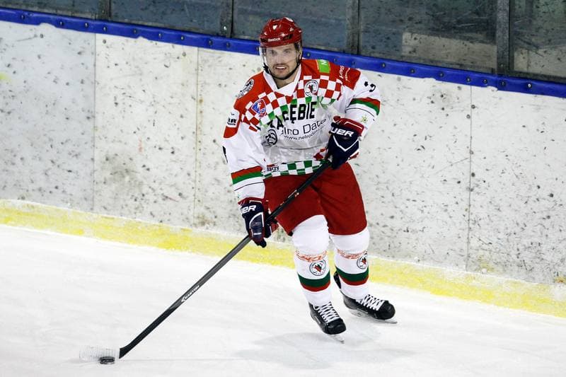 Ice Hockey. Polska Hokej Liga. Zaglebie Sosnowiec - Weglokoks Kraj Polonia Bytom. 13.01.2019