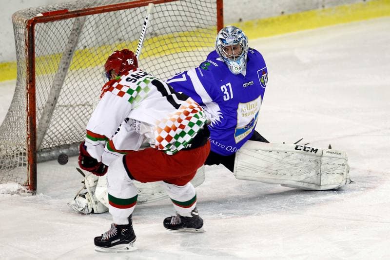 Ice Hockey. Polska Hokej Liga. Zaglebie Sosnowiec - Unia Oswiecim. 01.02.2019