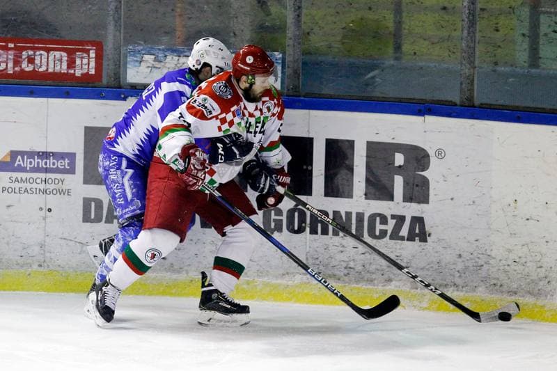 Ice Hockey. Polska Hokej Liga. Zaglebie Sosnowiec - Unia Oswiecim. 01.02.2019