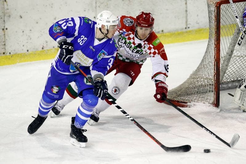 Ice Hockey. Polska Hokej Liga. Zaglebie Sosnowiec - Unia Oswiecim. 01.02.2019
