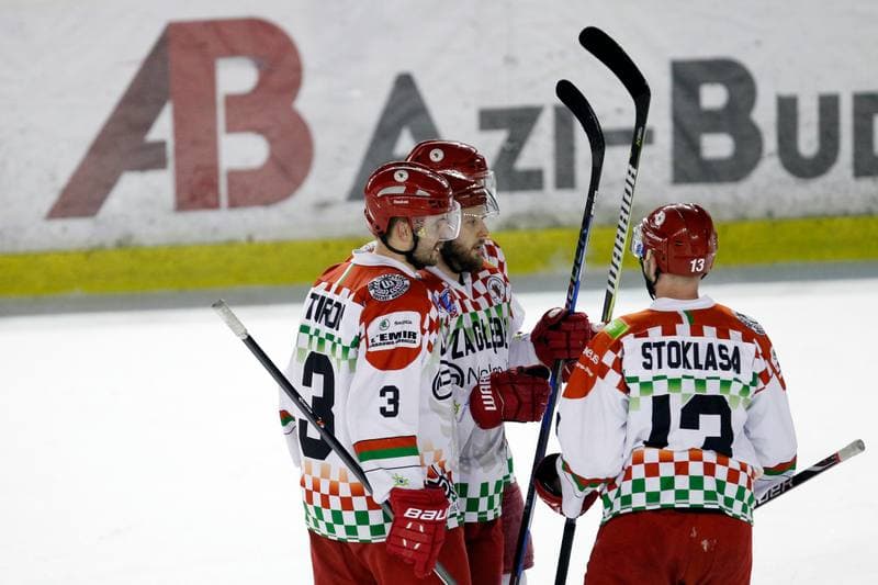 Ice Hockey. Polska Hokej Liga. Zaglebie Sosnowiec - Orlik Opole. 17.02.2019