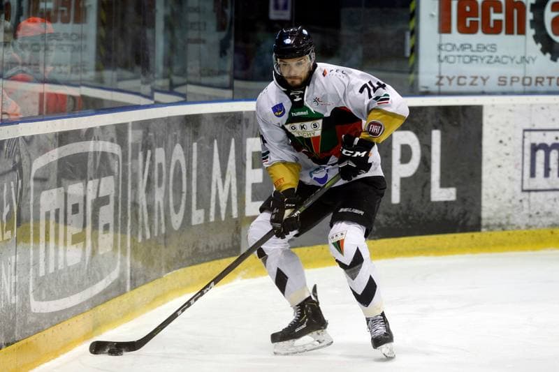 Ice Hockey. PHL. GKS Tychy - TatrySki Podhale Nowy Targ. 30.03.2019