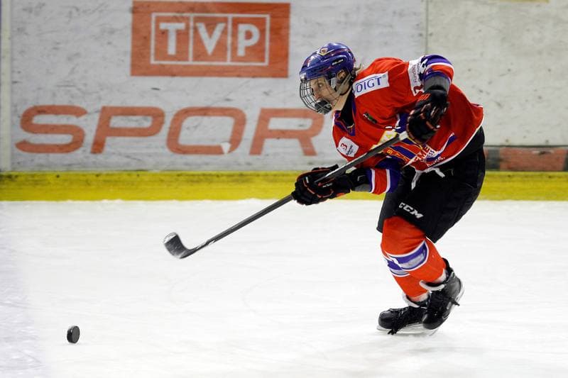 Ice Hockey. PLHK. Naprzod Janow - Polonia Bytom. 18.01.2018