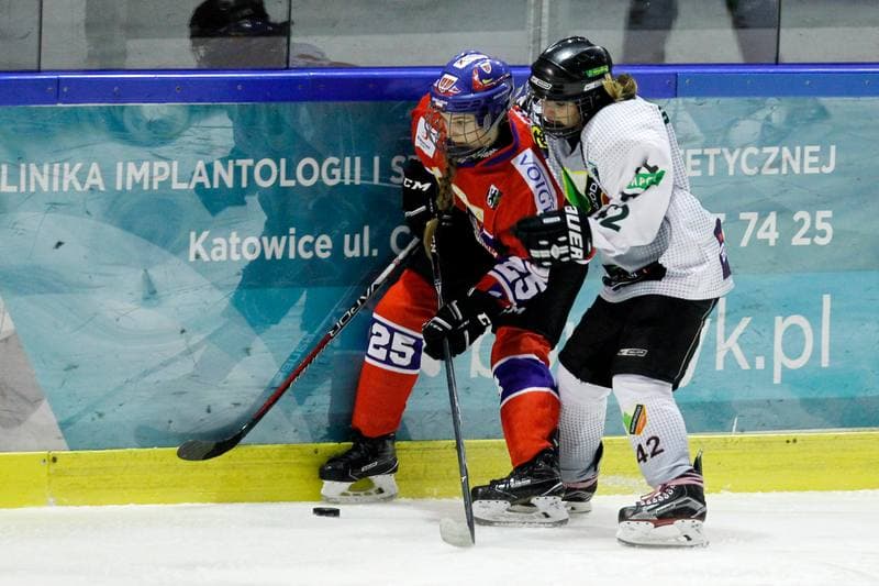 Ice Hockey. PLHK. Naprzod Janow - Polonia Bytom. 18.01.2018