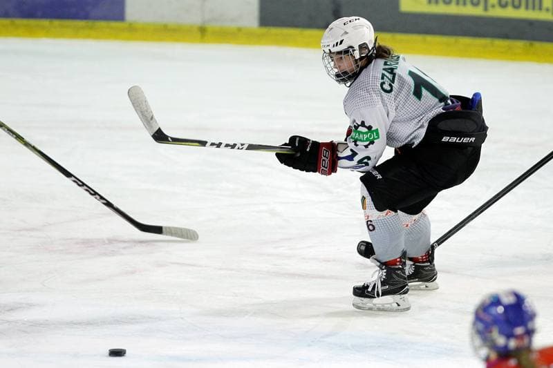Ice Hockey. PLHK. Naprzod Janow - Polonia Bytom. 18.01.2018