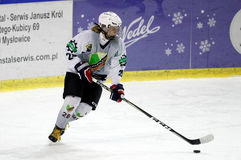 Ice Hockey. PLHK. Naprzod Janow - Polonia Bytom. 18.01.2018