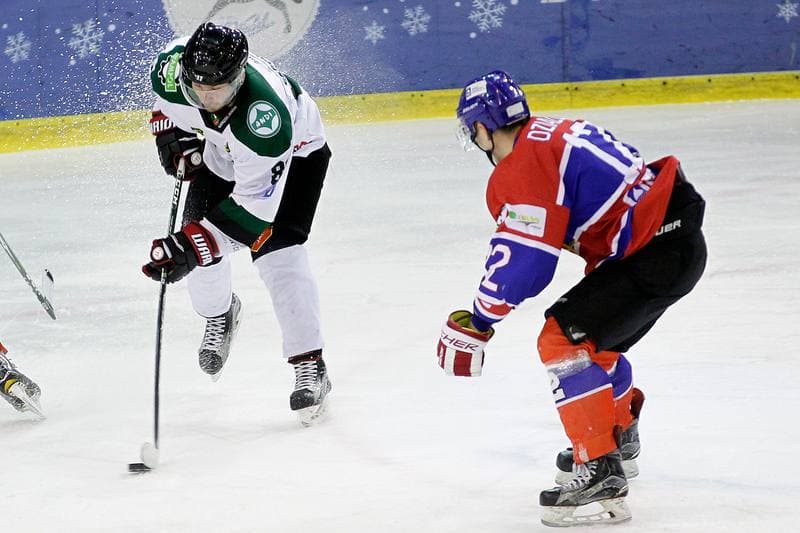 Ice Hockey. Polska Hokej Liga. Anteo Naprzod Janow - Polonia Bytom. 30.01.2018