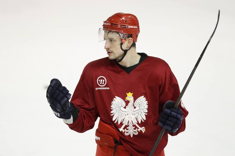 Ice Hockey. Poland national team. Training. 13.02.2018