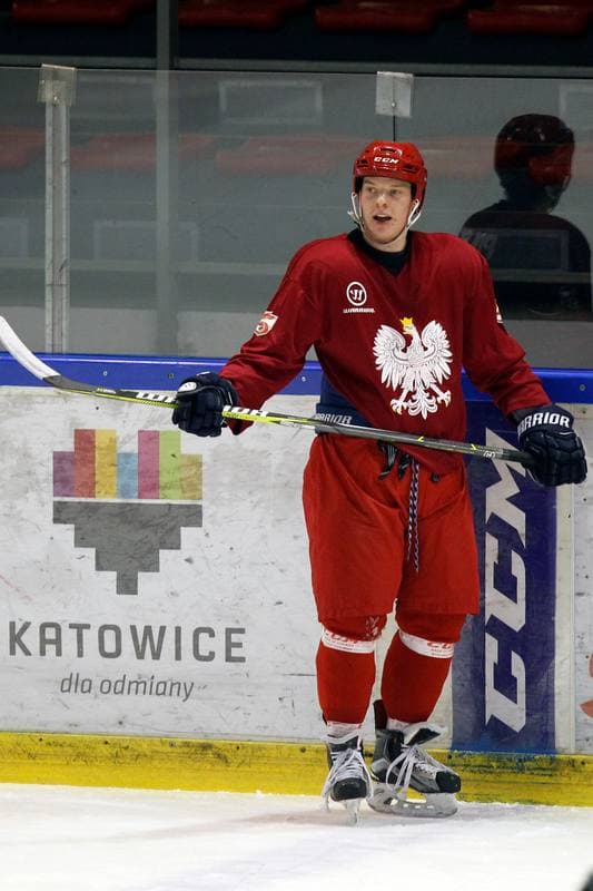 Ice Hockey. Poland national team. Training. 13.02.2018