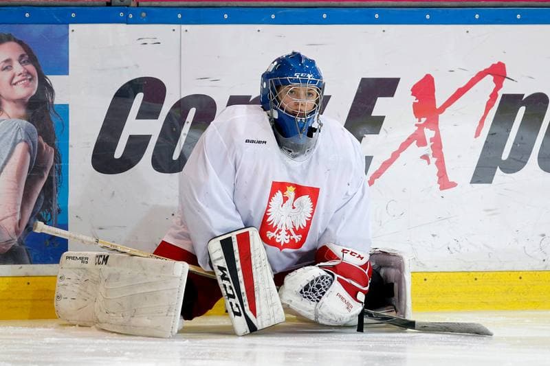 Ice Hockey. Poland national team. Training. 15.02.2018