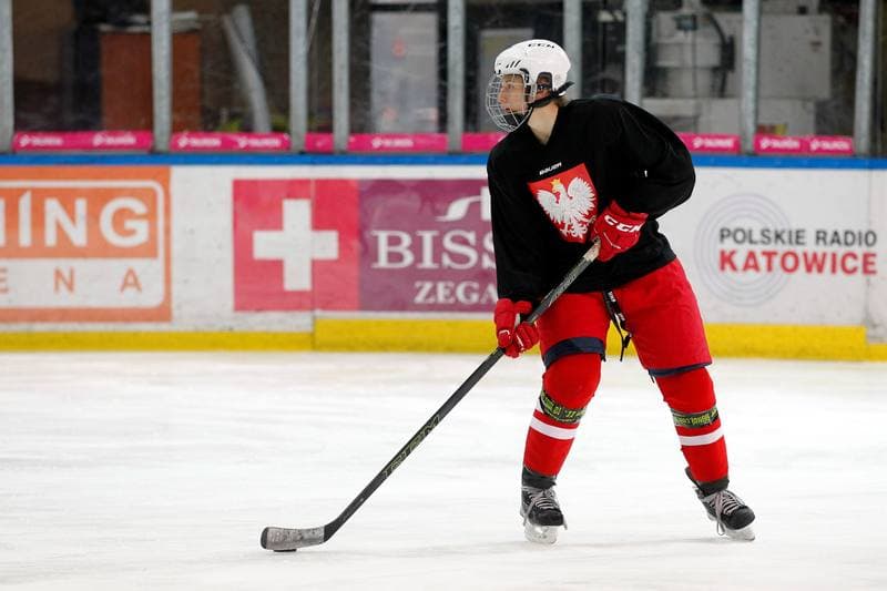 Ice Hockey. Poland national team. Training. 15.02.2018